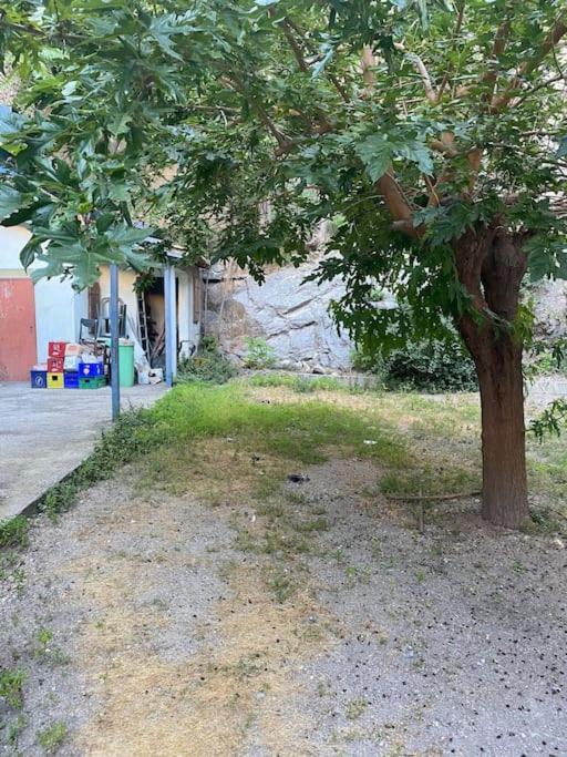 Appt 4 Pers Avec Jardin Ombrage En Centre Ville De Sete Ngoại thất bức ảnh