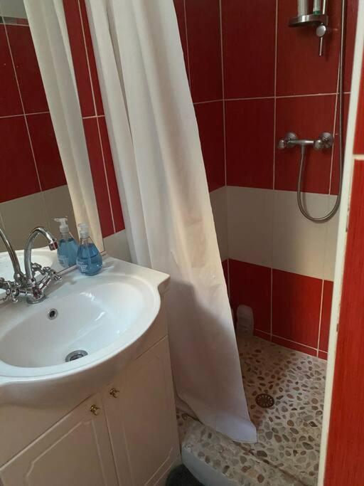 Appt 4 Pers Avec Jardin Ombrage En Centre Ville De Sete Ngoại thất bức ảnh